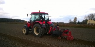 Jak sadzić aronię?