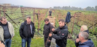 Z wizytą w holenderskich szkółkach malin i truskawek