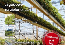 Jagodnik 6/2016 już w sprzedaży