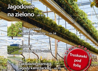 Jagodnik 6/2016 już w sprzedaży