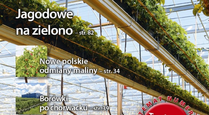 Jagodnik 6/2016 już w sprzedaży