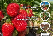 Jagodnik 1/2017 – już w sprzedaży