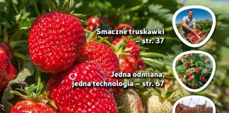 Jagodnik 1/2017 – już w sprzedaży