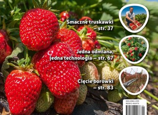 Jagodnik 1/2017 – już w sprzedaży