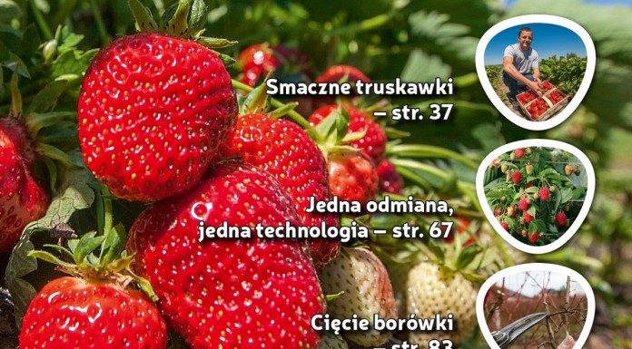 Jagodnik 1/2017 – już w sprzedaży