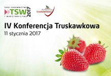 Konferencja truskawkowa na TSW już 11 stycznia