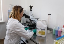 Funkcjonalne i skuteczne