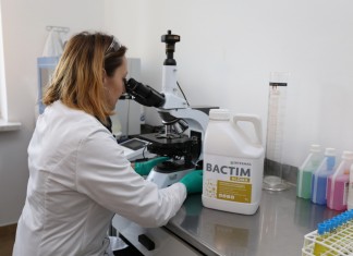 Funkcjonalne i skuteczne