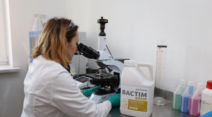 Funkcjonalne i skuteczne