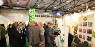 Jagodowe na topie również na Ukrainie