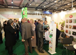 Jagodowe na topie również na Ukrainie