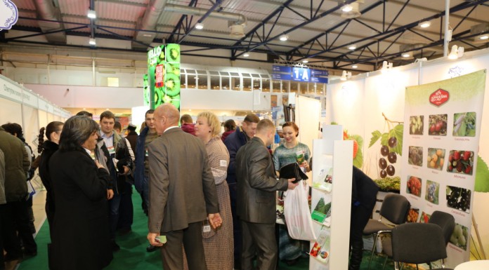 Jagodowe na topie również na Ukrainie