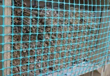 Opyla się zapylać, cz. 2