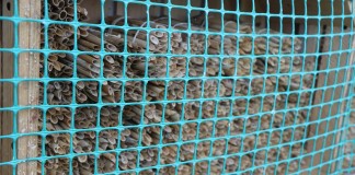 Opyla się zapylać, cz. 2