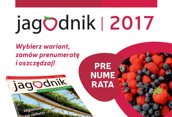 Jak sprostać rosnącym oczekiwaniom rynku?