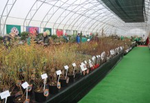 Szkółkarski Show Room Zobacz i Zamów