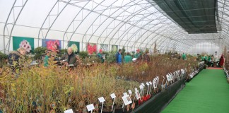 Szkółkarski Show Room Zobacz i Zamów