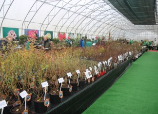 Szkółkarski Show Room Zobacz i Zamów