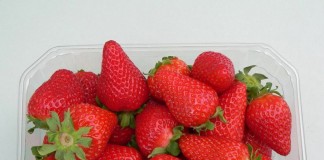 We Włoszech krajowe truskawki już są driscoll