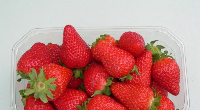 Eksport truskawek z Egiptu napotyka trudności driscoll