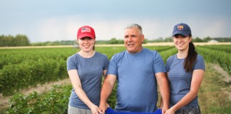 Polskie czarne porzeczki – FILM