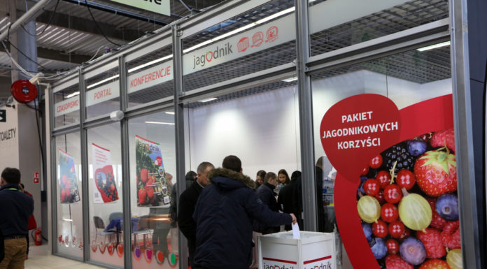 Jagodowo udany pierwszy dzień TSW – fotorelacja