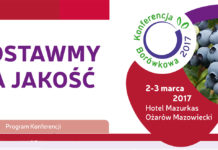 Postawmy na jakość w uprawie borówki