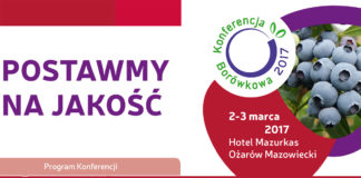 Postawmy na jakość w uprawie borówki