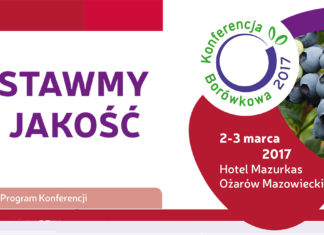 Postawmy na jakość w uprawie borówki