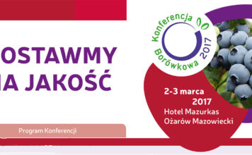 Postawmy na jakość w uprawie borówki