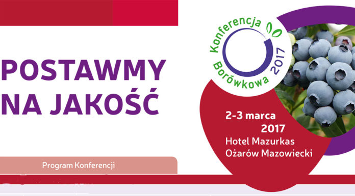 Postawmy na jakość w uprawie borówki