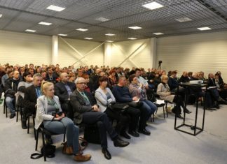 Uprawa jeżyny, róży wielkoowocowej czy aktinidii – jagodowe nisze (cz. I)