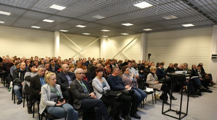 Uprawa jeżyny, róży wielkoowocowej czy aktinidii – jagodowe nisze (cz. I)