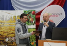 Ekologiczne jagodowe to perspektywiczny kierunek