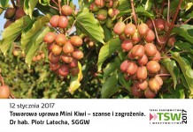 Drugi dzień na TSW z konferencją o nowych gatunkach w sadownictwie