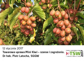 Drugi dzień na TSW z konferencją o nowych gatunkach w sadownictwie