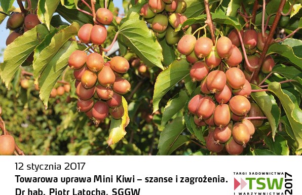Drugi dzień na TSW z konferencją o nowych gatunkach w sadownictwie