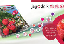 Pakiet jagodnikowych korzyści