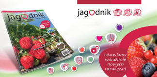 Pakiet jagodnikowych korzyści