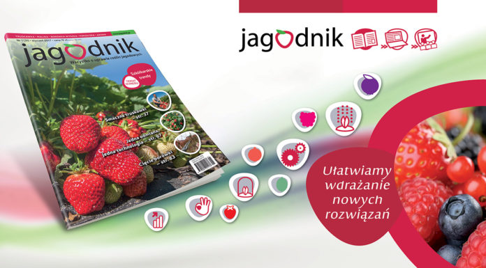 Pakiet jagodnikowych korzyści