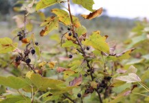 Do 300 tys. zł wsparcia dla rolników