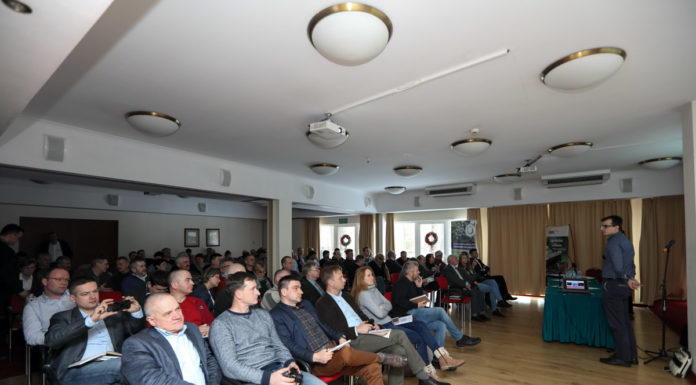 Uprawa borówki wymaga specjalistycznej wiedzy