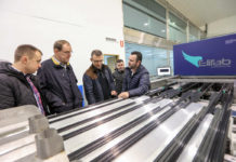 Sortowanie borówki dla wymagających