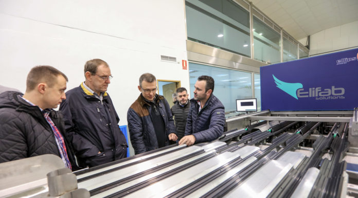 Sortowanie borówki dla wymagających