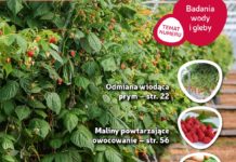 Jagodnik 2/2017 już w sprzedaży