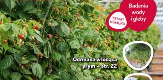 Jagodnik 2/2017 już w sprzedaży