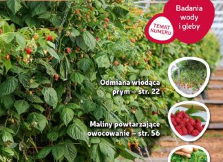 Jagodnik 2/2017 już w sprzedaży