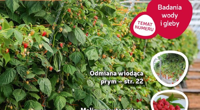 Jagodnik 2/2017 już w sprzedaży