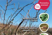 Jagodnik 3/2017 – już w sprzedaży