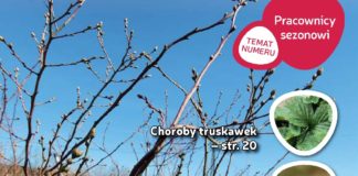 Jagodnik 3/2017 – już w sprzedaży